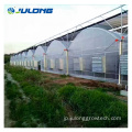 マルチスパンフィルムグリーンハウストマト水耕栽培温室